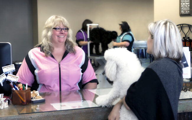 pet grooming salon bilings mt pet grooming salon bilings mt