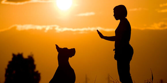 Groomingdale’s-Training-Your-Dog