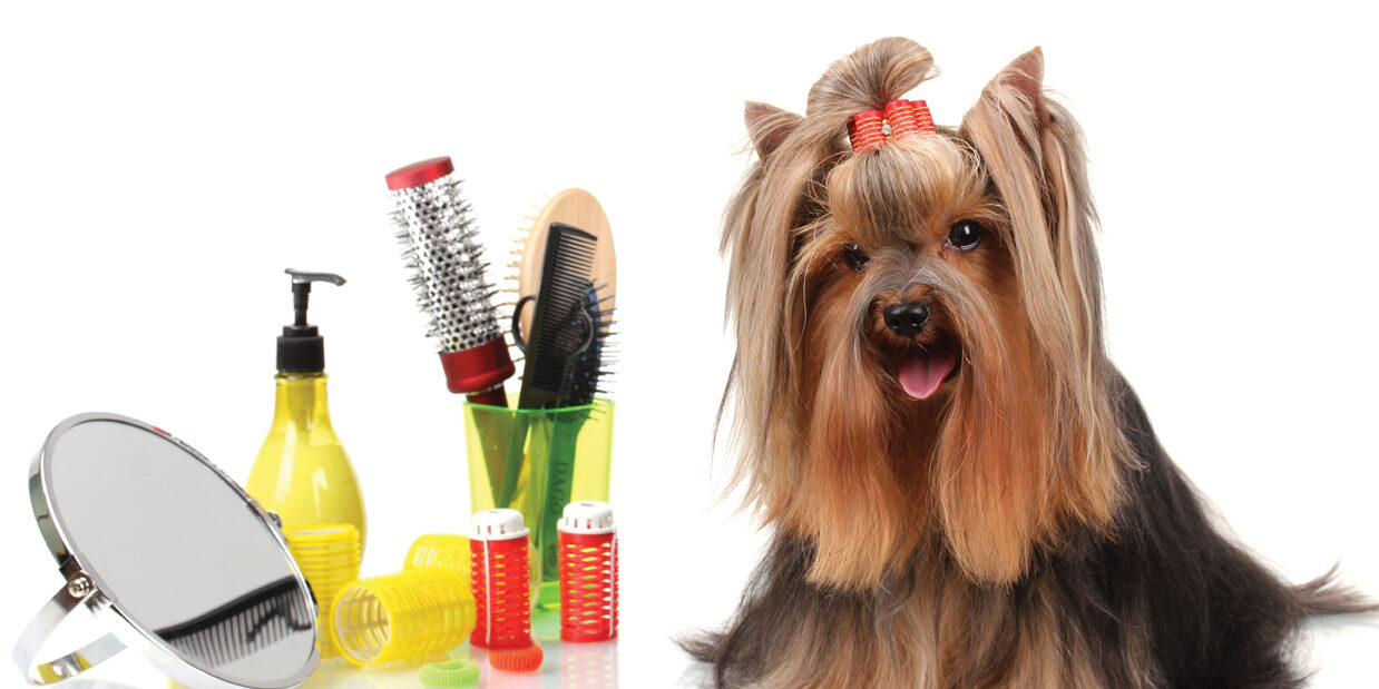 Groomingdales-Nov2016