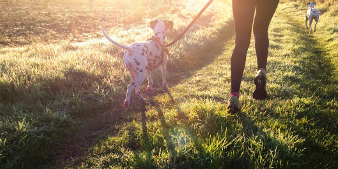 GroomingdalesDec2016