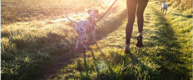 GroomingdalesDec2016