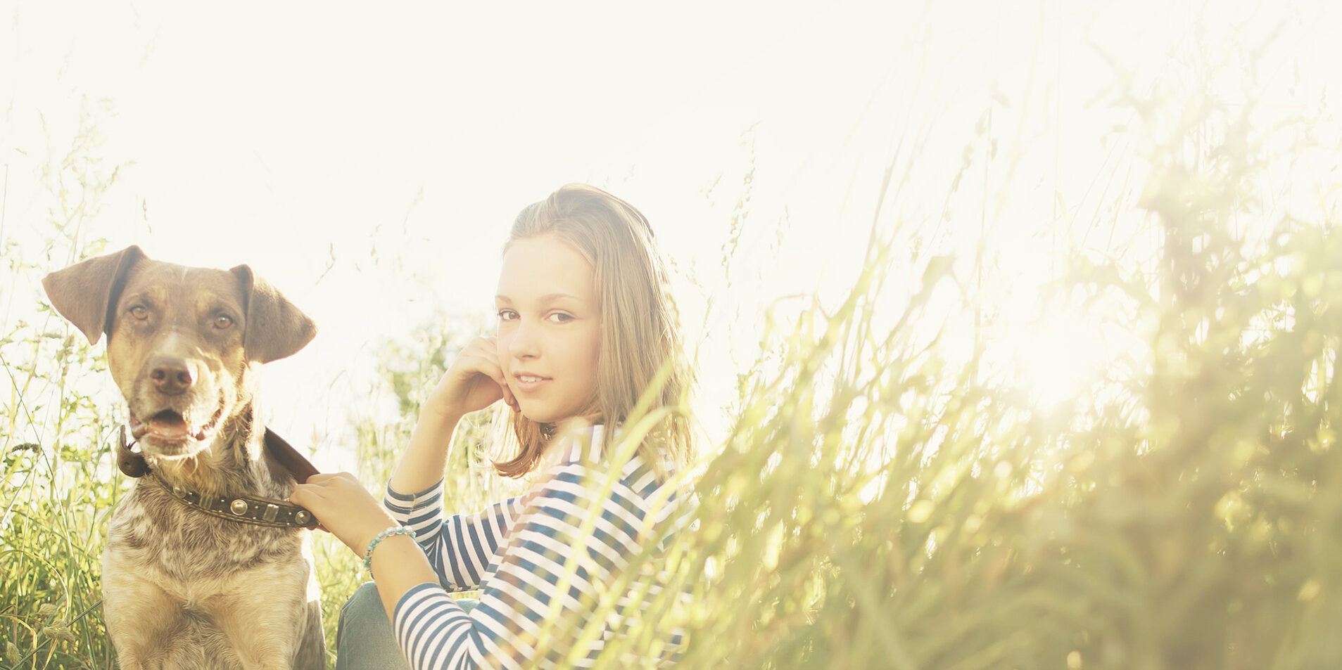 pet grooming billings montana pet grooming billings montana