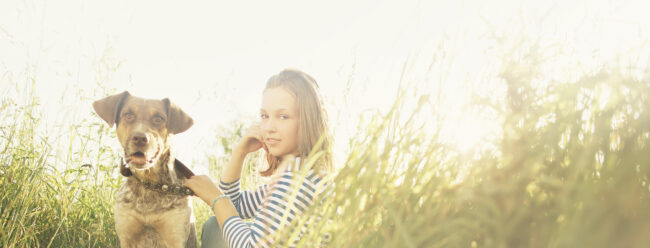 pet grooming billings montana pet grooming billings montana