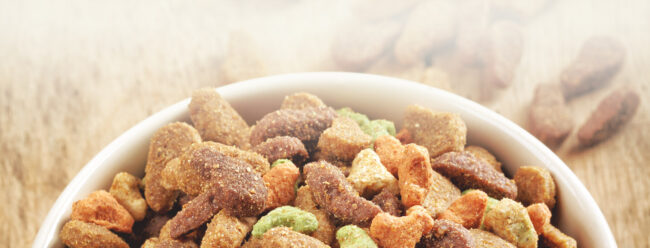 nail polish for dogs billings mt